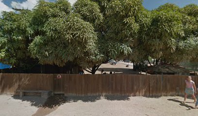 auto escola shumacher